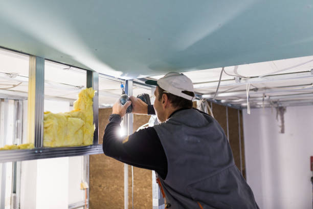 Best Insulation for New Construction  in Cohoes, NY