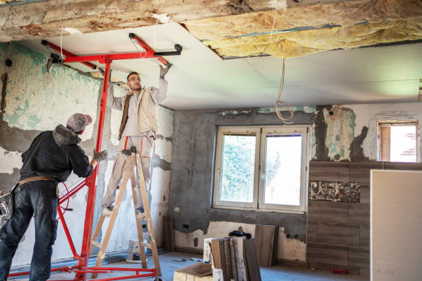 Best Wall Insulation Contractor  in Cohoes, NY